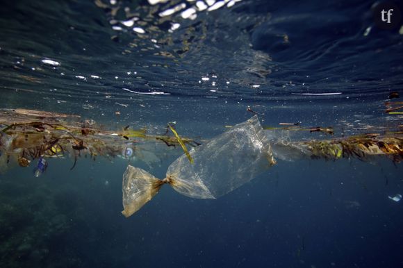 Devenez citoyen des îles Poubelle pour sauver les océans des déchets plastique