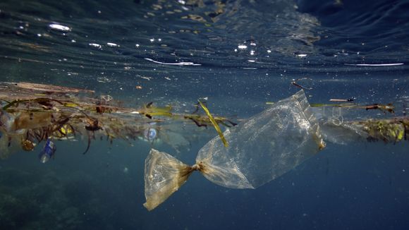 Devenez citoyen des îles Poubelles pour sauver les océans des déchets plastiques