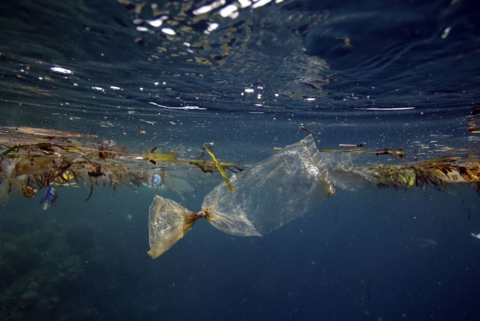 Devenez citoyen des îles Poubelle pour sauver les océans des déchets plastique