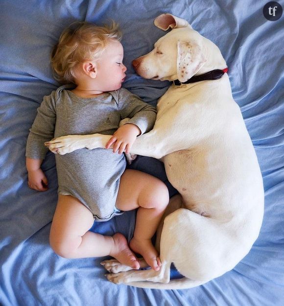 Cet ex-chien maltraité est devenu le meilleur ami de ce petit garçon