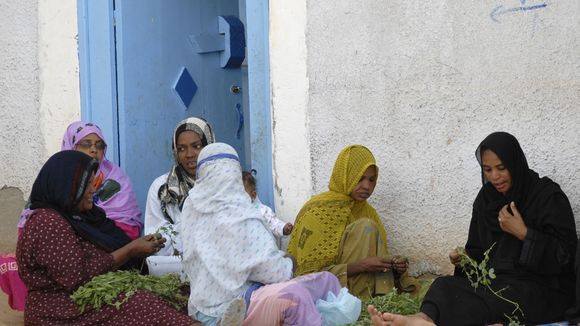 El-Samaha, le village égyptien où les femmes ont le pouvoir