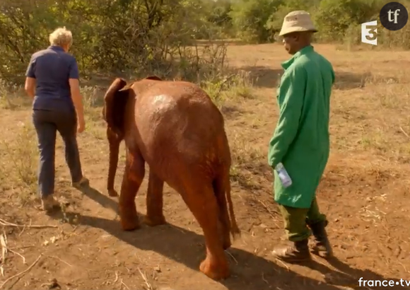 Muriel robin dans "La Terre des élephants".