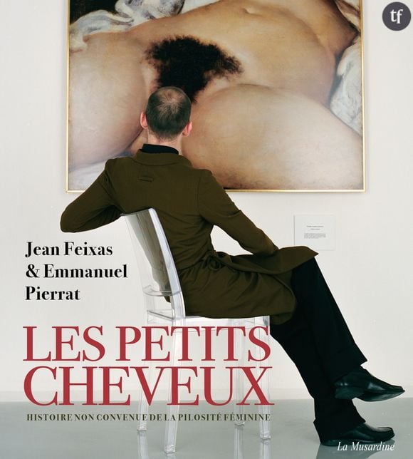 La couverture du livre "Les petits cheveux". Photo de Jean-Baptiste Mondino.