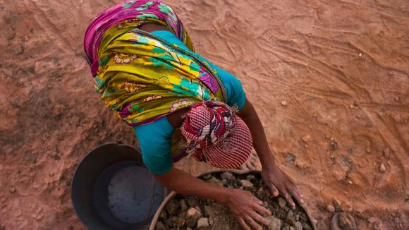 Environnement : la COP 23 devrait adopter un plan d'action pour l'égalité des sexes