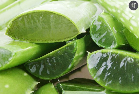 L'aloe vera soulage les lèvres abîmées par le froid