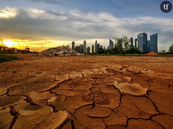 Le One Planet Summit se tient ce mardi 12 décembre, deux ans après la COP21