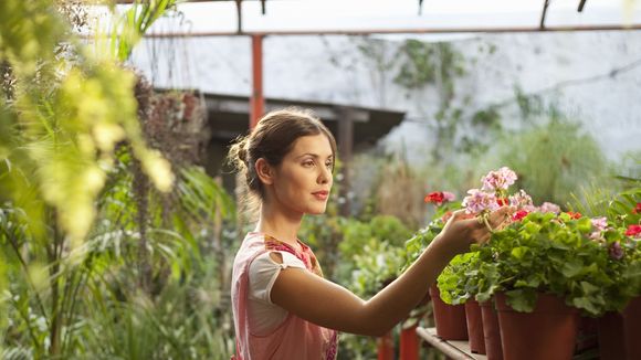 La thérapie horticole : pourquoi s'y mettre pour être plus heureuse