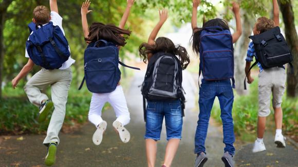 Les écoles en forêt : un modèle éducatif à importer en France ?