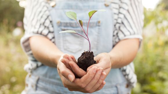 Il a fait le tour de France des villes sans pesticides