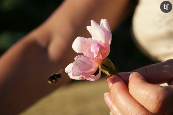 Protéger les abeilles