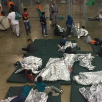 Donald Trump met des enfants en cage comme des animaux