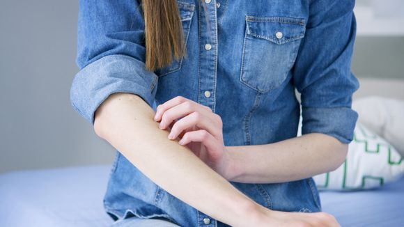 L'ingrédient magique pour soulager les piqûres d'insecte