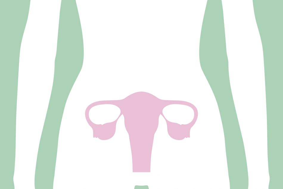 Système reproductif féminin