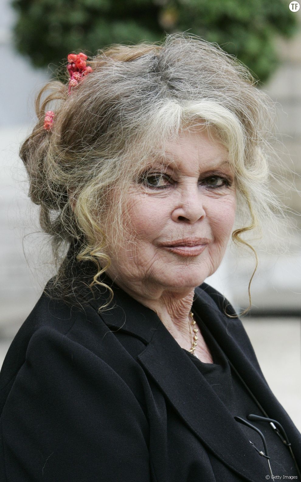 L Actrice Brigitte Bardot Terrafemina