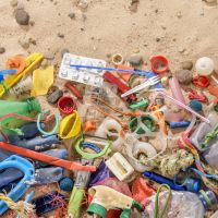 Le plastique laisse des traces partout... y compris dans nos excréments