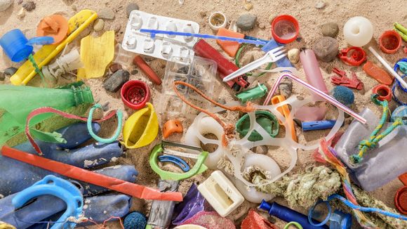 Le plastique laisse des traces partout... y compris dans nos excréments