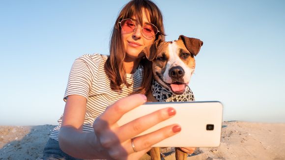 Arrêtez de poster des photos d'animaux de compagnie sur vos réseaux sociaux