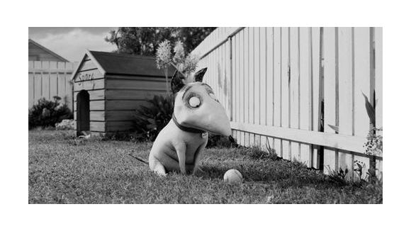 Tim Burton revient avec Frankenweenie – Vidéo streaming