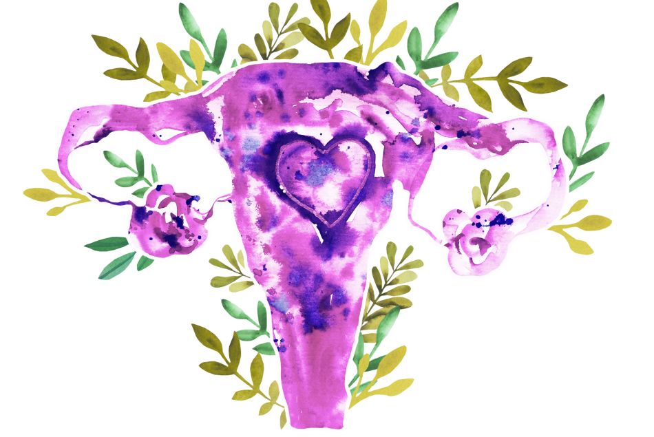 "Lâcher-nous l'utérus" : Fiona Schmidt signe un ouvrage inédit qui décortique la maternité