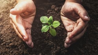 6 clés pour devenir "gardiennes de la nature"