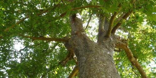 Une plainte pour le moins étonnante