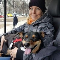 Le combat de la PETA pour sauver plus de 600 chiens et chats en Ukraine