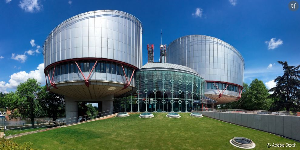   Alors que ce dossier refait surface, la Cour européenne des droits de l&#039;homme a condamné ce mardi la Belgique pour des &quot;défaillances&quot; dans le contrôle a posteriori des euthanasies pratiquées sur son sol  
