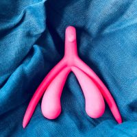 Pourquoi le désintérêt de la médecine pour le clitoris est désolant