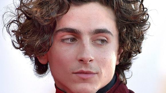 Timothée Chalamet serait-il l'homme qu'il nous faut ?