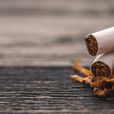  L'équipe de recherche estime que l'impact de la nicotine est "modéré", mais s'est surtout étonnée de la rapidité avec laquelle elle a constaté ses effets 