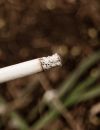  Il est donc très probable le genre du fumeur et ses difficultés à arrêter la cigarette soient liés 
