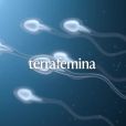 La qualité du sperme décline et ça ne va pas s'arranger