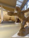  Mais également... Des oeuvres, qui font pour la première fois leur apparition au sein de l'établissement. Et sont signées par des légendes de la sculpture : Rodin, Jean Arp et Germaine Richier... 
  