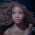  Ambition étonnante mais pas moins pertinente pour cette transposition en "live action",  c'est à dire en prises de vue réelles,  du long métrage d'animation de 1989.   