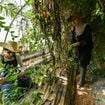 "C'est le plus beau métier au monde !" : en Algérie, une ferme écologique tenue par deux femmes bouscule gentiment les machos