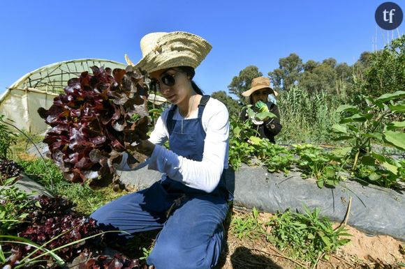 Amira Messous et Ibtissem Mahtout dans leur ferme à Douaouda, à une trentaine de kilomètres à l'ouest de la capitale algérienne, le 30 mai 2024