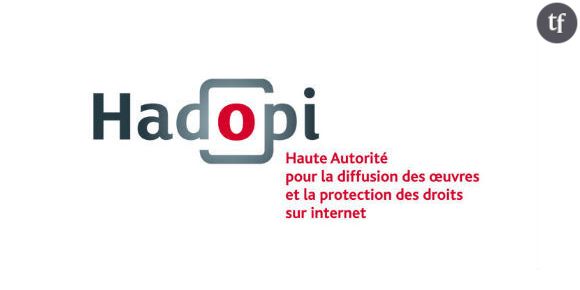 Hadopi : Piratage de films à l’Elysée