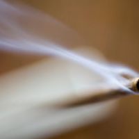 L'encens devrait disparaître d'ici 50 ans
