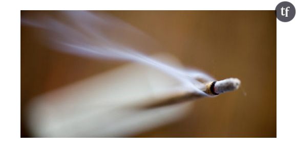 L'encens devrait disparaître d'ici 50 ans