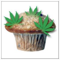 Jugé pour homicide involontaire à cause d’un Space Cake