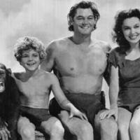 Cheetah, le singe de Tarzan, est mort