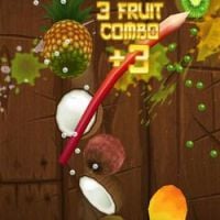 Un chat joue  à “Fruit Ninja” sur iPad - Vidéo