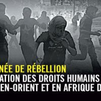 Pays arabes : vives inquiétudes d'Amnesty International pour 2012