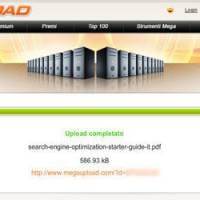 RapidShare : le site de direct download n’a pas peur de la fermeture de Megaupload