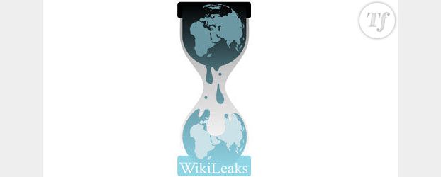 Lâché par ses hébergeurs, Wikileaks lance un SOS aux internautes