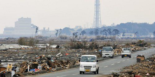 Fukushima : des singes pour mesurer la radioactivité des zones contaminées