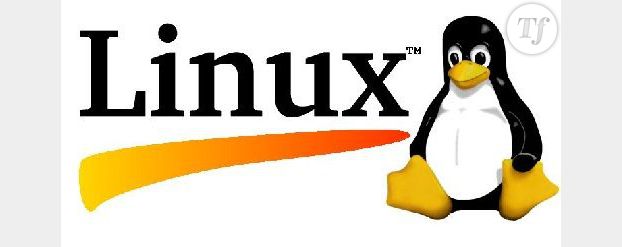 Linux abandonné par AIR et Flash Player