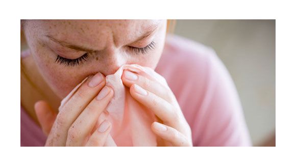 Allergie : les pollens d'arbre sont de retour