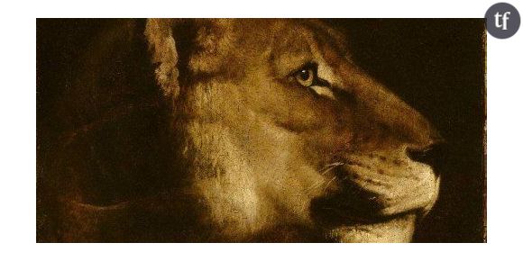 L’exposition « Beauté Animale » au Grand Palais