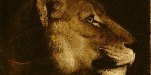 L’exposition « Beauté Animale » au Grand Palais 